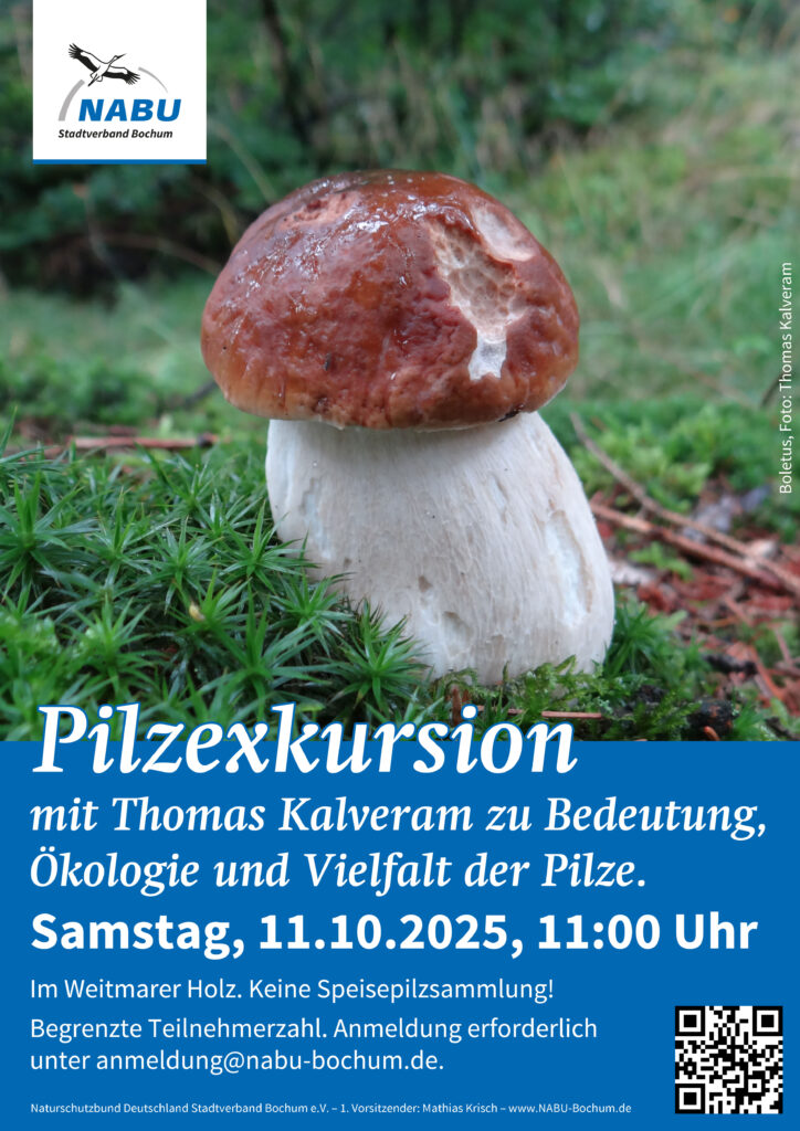 25-10-11-pilzexkursion
