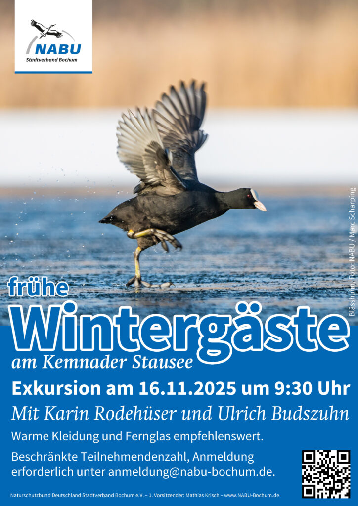 25-11-16-f-wintergaeste