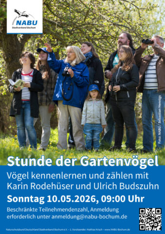 26-05-10-gartenvoegel-339x480