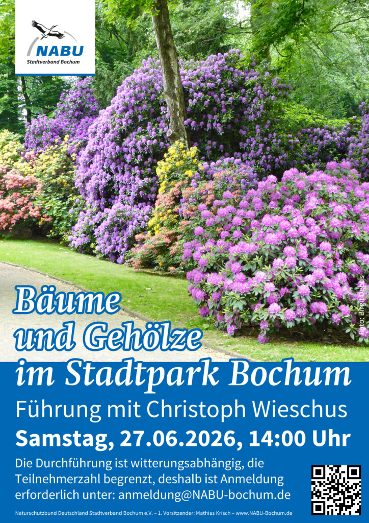 26-06-27-stadtpark