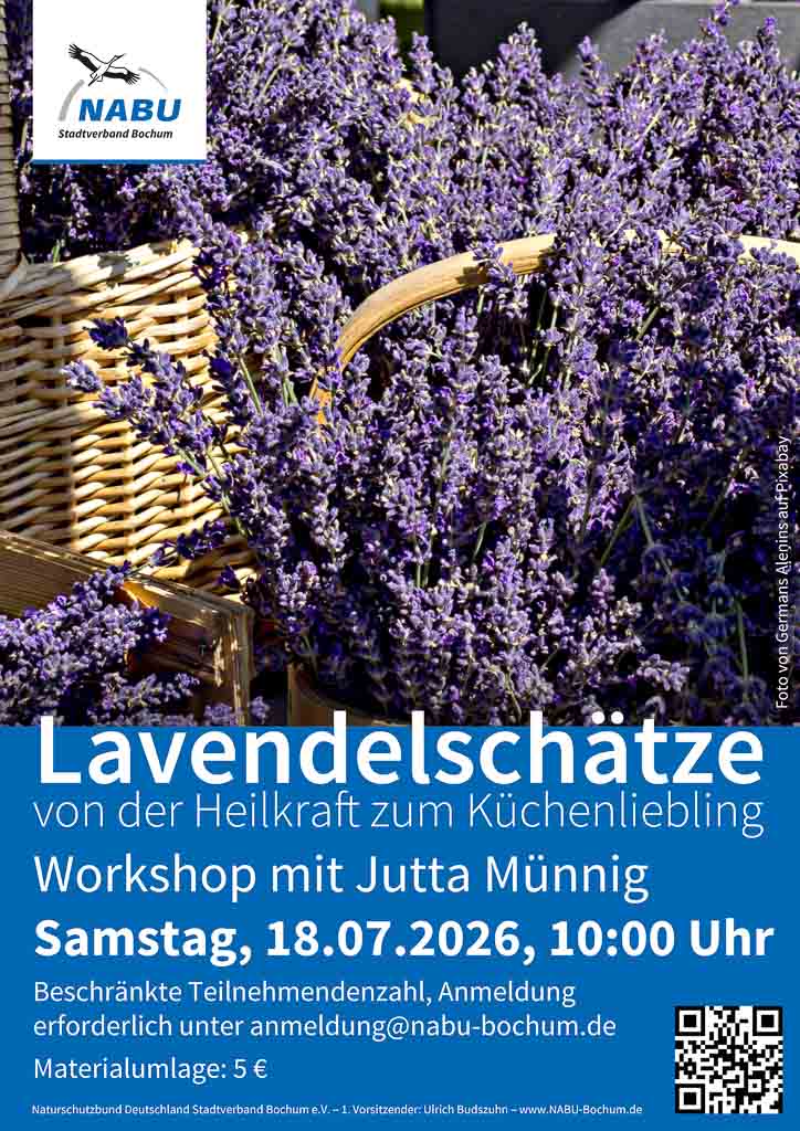 26-07-18-lavendel