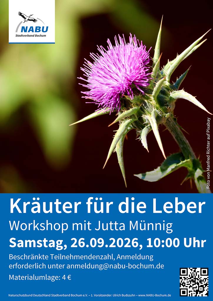 26-09-26-kraeuter-leber