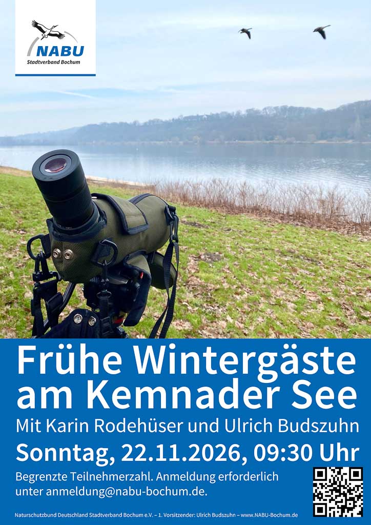 26-11-22-wintergaeste