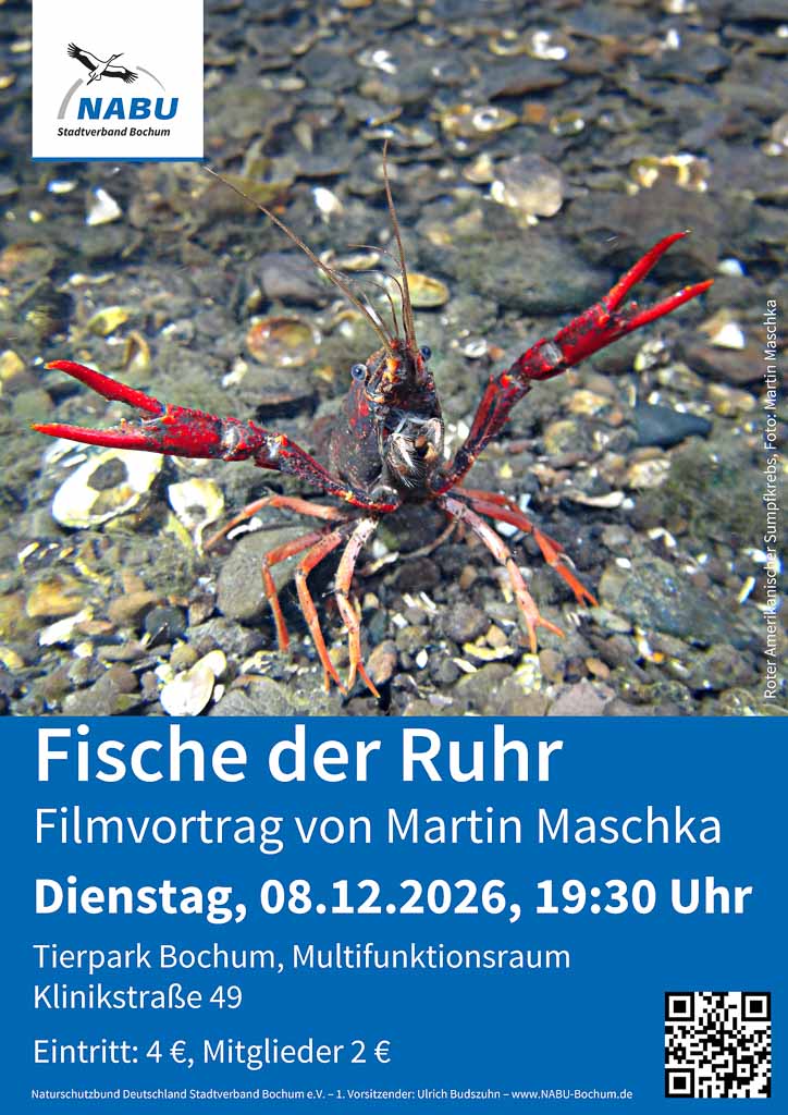 26-12-08-fische-ruhr